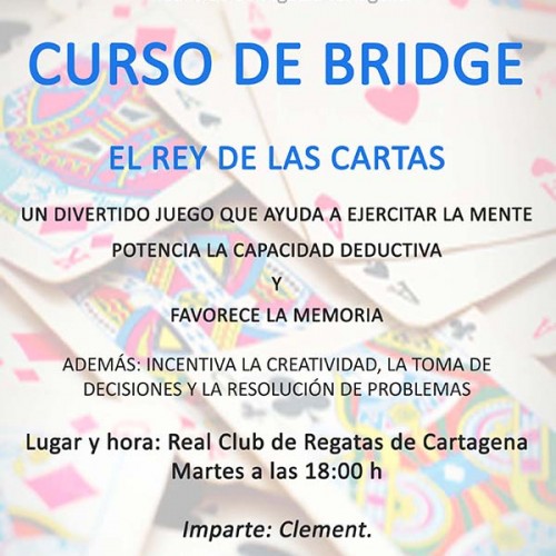 CURSO DE BRIDGE